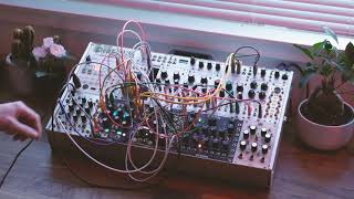 Avril 14th  Eurorack Cover [upl. by Myrta]