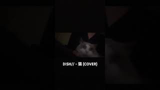 DISH  猫 neko COVER [upl. by Aleafar]