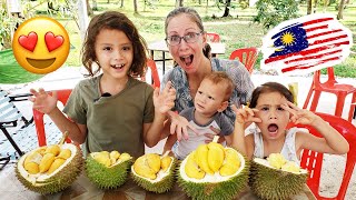 Eating DELICIOUS DURIAN in MALAYSIA 😍 Tasting 6 Varieties [upl. by Chesna]