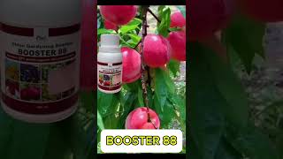 Pupuk Booster 88 B [upl. by Thurstan]