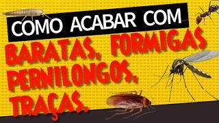 Como acabar com Baratas Formigas Traças e Pernilongos [upl. by Neurath]