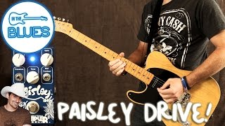 Wampler Pedals  The Paisley Signature Overdrive [upl. by Luther827]