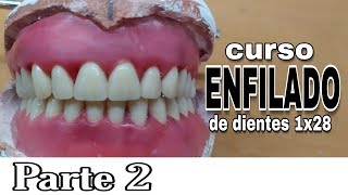 PRÓTESIS TOTAL ENFILADO o ARTICULADO DE DIENTES INFERIORES  Parte 2 [upl. by Oiretule]