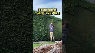 Pekerjaan Paling Menyenangkan Di Dunia ❤️ [upl. by Orestes834]