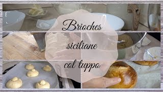 Brioches siciliane col tuppo come quelle del bar [upl. by Lash161]