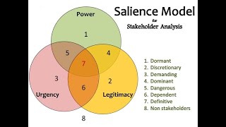 Stakeholder Salience Model [upl. by Verdha]