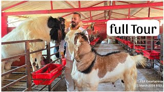 MD Goat Farm Ramadan Series 2024  Full Farm Tour [upl. by Nissy148]