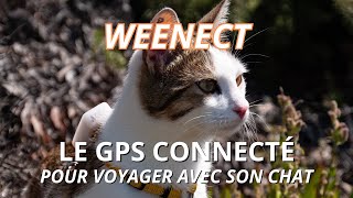 TEST du GPS WEENECT  suivez votre animal en temps réel [upl. by Erma]