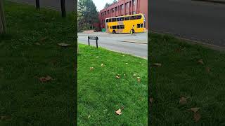 Buses in Cowley Oxford 41124 [upl. by Alegnasor]