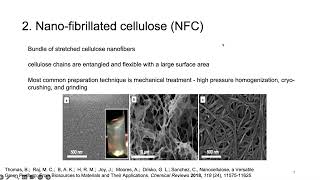 What Is Nanocellulose [upl. by Enelav]