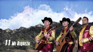 Mi Riqueza  Los Plebes del Rancho de Ariel Camacho  DEL Records 2016 [upl. by Fisuoy]