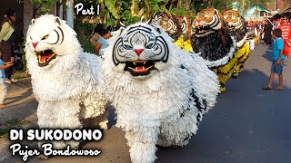 KIRAB CAN MACANAN SINGO MANGGALA amp DRUMBAND MAONG REMAS DI SUKODONO PUJER BONDOWOSO PART1mp4 [upl. by Bronson]