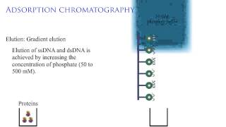 Adsorption chromatography 2 [upl. by Sherill]