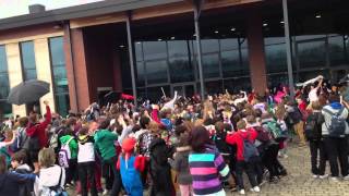 DwryFelin School Harlem Shake [upl. by Greenebaum]