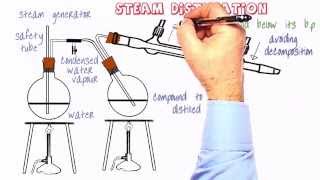 Organic Practical Setup 10 Steam distillation [upl. by Blumenfeld]