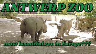 🇧🇪 ANTWERP ZOO  WALKING TOUR  4K UHD [upl. by Nosral]