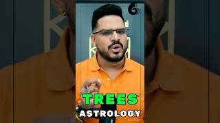 Strengthen Your Planets The Power of Planting Trees in Astrology [upl. by Yrot]