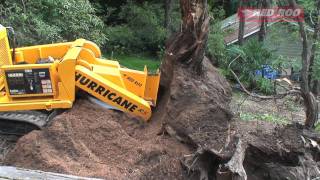 Tree Root Removal Removing Tree Roots [upl. by Ernesta]