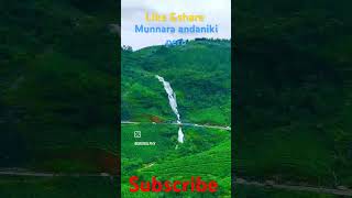 Beautiful munnar location 💕❤️😘shorts trending keralamunnartraveler india  subscribe 🙏 [upl. by Zoi]