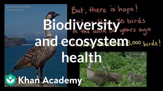 Biodiversity and ecosystem health a Hawaiian Islands case study  Khan Academy [upl. by Tunk171]