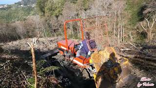 Lavori boschivi FiatAgri7285FDverricello forestale Forestry work FiatAgri7285FDforestry winch [upl. by Annecorinne]