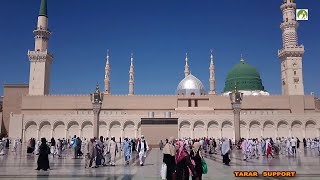 Saudi Arabia Travel Masjid Nabawi Walk in amp Out [upl. by Garibold156]