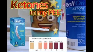 UA Pee Test for Ketone Bodies  Relion Pee Strip Review [upl. by Crispas975]