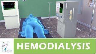 Hemodialysis [upl. by Aromas13]