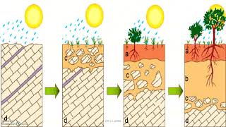 Les caractéristiques des sols [upl. by Emeline384]