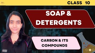 Soaps and Detergent  Carbon and its compounds  Class 10 Chemistry  Srishti science classes [upl. by Diarmit585]