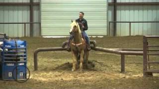 Total Team Roping Sampler 4252011 [upl. by Notsnarc]