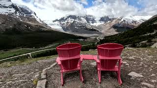 Wilcox Pass Trail in Jasper National Park [upl. by Grega]