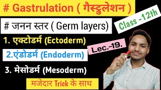 Gastrulation  Germ layers Ectoderm Mesoderm amp Endoderm  Morphogenetic movement  only Neet [upl. by Ahsinoj352]