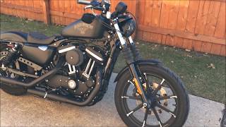 Harley Davidson Iron 883 walk around [upl. by Eidur]