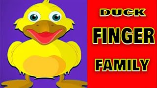 duck finger family  Rhymes song  Kidsrhymes kidsalphabet alphabetsong bumblekidstv [upl. by Raynell553]