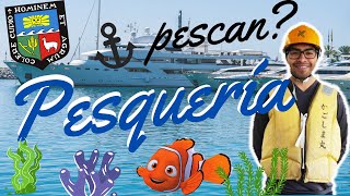 ✅Cómo es PESQUERÍA🐟 en la AGRARIA [upl. by Lleda255]