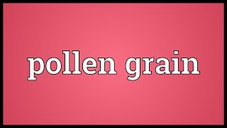 Pollen grain Meaning [upl. by Aseefan]