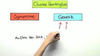 Chorea Huntington  Biologie  Genetik [upl. by Lehctim]