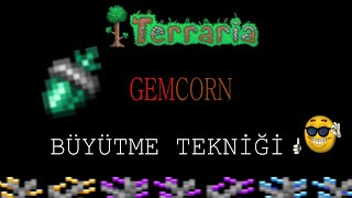 Terraria quotGemcornquot Nasıl Büyütülür Türkçe [upl. by Llig974]