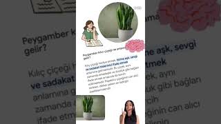 Kilic ciceginin anlamını biliyormusunuz Cevabı videoda gardenplants çiçek garden sanseveria [upl. by Past833]