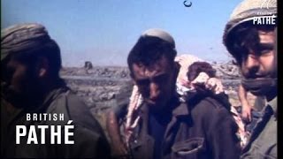 Israelis On Syrian Front 1973 [upl. by Rebba]