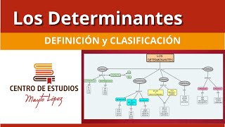 Los DETERMINANTES 🔴 Definición y Clasificación [upl. by Ogg]