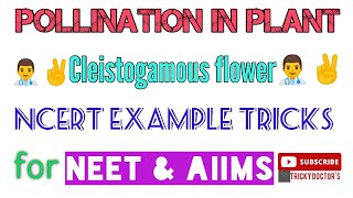 Pollination in flowering plants🔥Cleistogamous flowersCleistogamous NCERT example TricksNEET2021 [upl. by Ydeh]