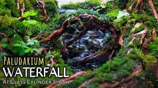 How To Make a Paludarium Waterfall in a glass cylinder [upl. by Nevile]