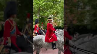 Up close at the Trooping of the Colour royalfamily princessofwales williamsndkate royalvisit [upl. by Ahseile]