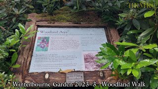 Winterbourne Garden 20233  Woodland Walk J Strauss II Vienna Blood Waltz [upl. by Olva]