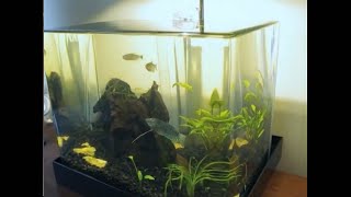 How to make a DIY ZeroEdge Aquarium [upl. by Prasad]