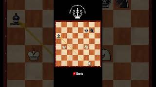 Two Minor pieces vs Knight Bishop pair PUZZLE [upl. by Hamlet]