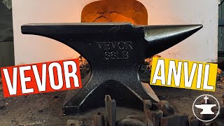 Budget Anvil I REVIEW OF VEVOR ANVIL I [upl. by Raybin]