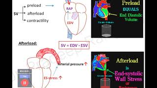 Cardiac Output Monitoring  Determinants and Confounders  Dr Pradeep Rangappa [upl. by Yttel604]